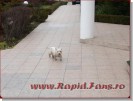 <<->> APASA pentru FOTO la dimensiunea mare <<->> <<->> 2007.03.07 ProRAPID (105)